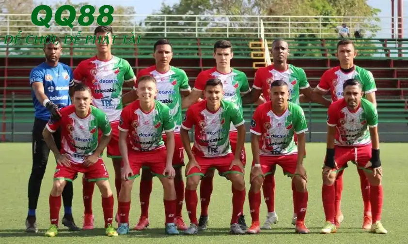 Carmelita phần nào được đánh giá cao hơn so với Pitbulls